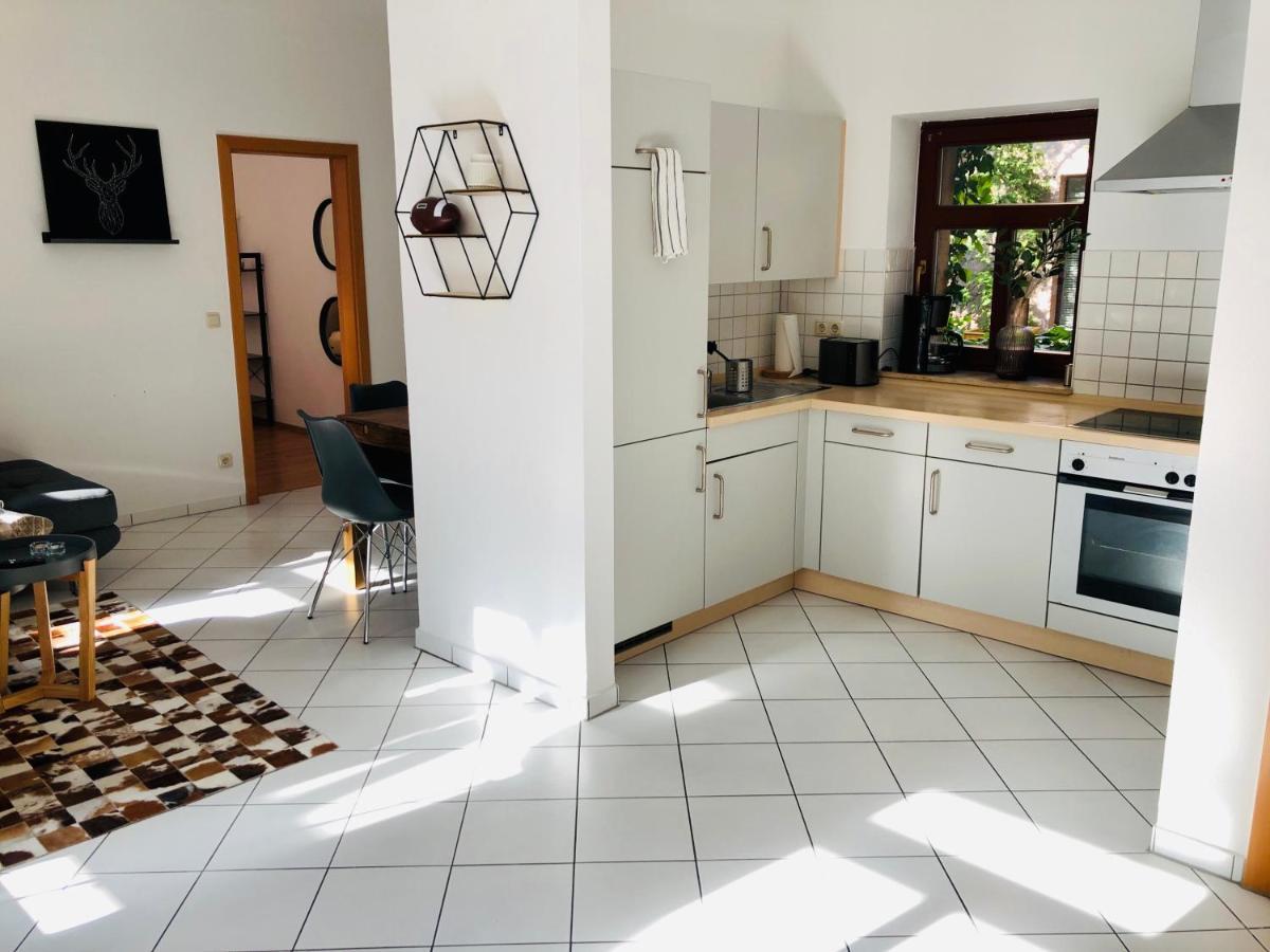 Ferienwohnungen Mit Terrasse In Zwingernaehe - Hilger Rentals Дрезден Экстерьер фото